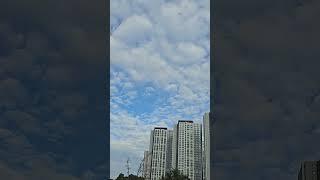 #가을하늘 #가을 #sky #fall