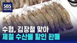 수협, 김장철 맞아 제철 수산물 할인 판매 / SBS