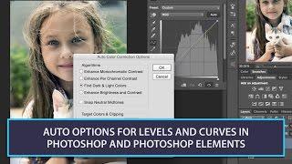 Auto Options For Levels and Curves in Photoshop and Photoshop Elements