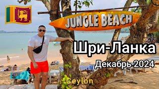 Шри-Ланка. Унаватуна. Jungle beach. Декабрь 2024