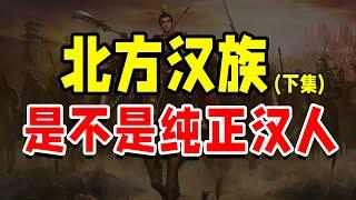 【下集】北方汉族是不是纯正汉人