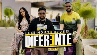 Cheb Momo x Dj Adel -  Diferente (Official Music Video) | 2024 |