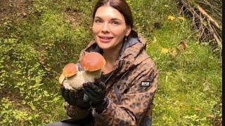 20.10.2024 Funghi porcini /Boletus edulis mushroom from the Carpathian mountains #гриби #grzyby