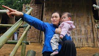 Single mother builds stairs down to vegetable garden. Single mother life. Ly Vy Ca