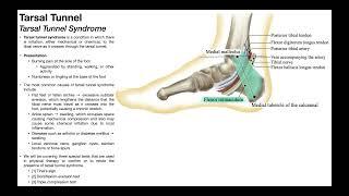 Tarsal Tunnel Syndrome | Clinical Anatomy & Presentation