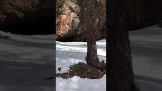 Indian Springs Property