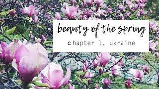 beauty of the spring, chapter 1 (Ukraine - Україна) | holisticmaya