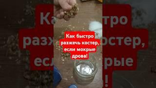 Как быстро разжечь костер, если мокрые дрова!