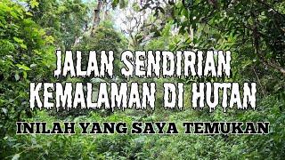 KETINGGALAN ROMBONGAN, KEMALAMAN SENDIRIAN DI TENGAH HUTAN