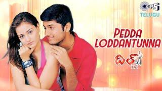 Peddaloddantunna | Dil | Nithin, Neha | K. S. Chithra, Sri Ram | R. P. Patnaik | Telugu Love Songs