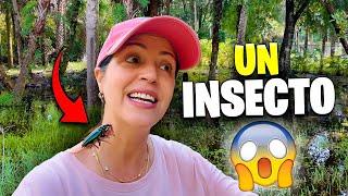 ME PICA UN INSECTO EN EL CUELLO   Sandra Cires Vlog