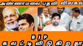 அ மலைக்கு பதவி விலகல் ஏன்? BJP" அண்ணாமலையை கலட்டிவிடுகிறதா | UMM | TAMIL...