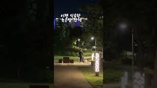 치매노견과함께 사는 가족이야기