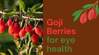 Unveiling the Secrets of Goji Berries