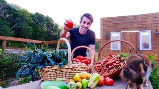 Late Summer Abundance: Harvesting Veggies for a Self-Sufficient Homestead