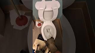 How to unclog and snake a toilet