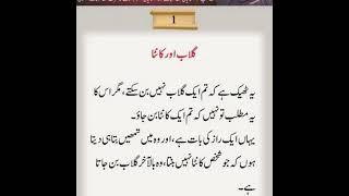 Ashfaq Ahmed quotes#short #golden words#viral #status #status #best (3)