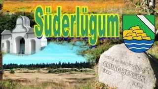 Süderlügum  ... wunderschön ...Binnendünen ...