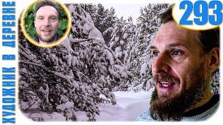 293 ОБЗОР НОВЫХ КАРТИН | ВОСТОРГ ОТ ЗАСНЕЖЕННОГО ЛЕСА - ХУДОЖНИК В ДЕРЕВНЕ