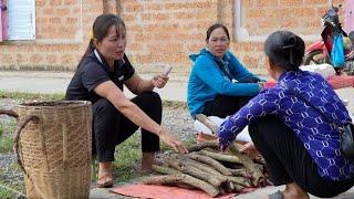 Harvesting herbal medicine to sell, gardening, taking care of animals