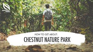 Chestnut Nature Park | | How To Get About