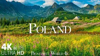 POLAND 4K - Discovering The Enchanting Landscapes and Rich Culture of Pole - Relaxing Music