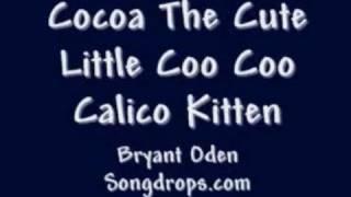 FUNNY Cat Song: Cocoa the Kitten