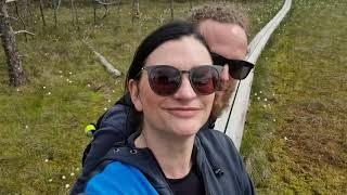 A Relaxing Stroll In The Viru Bog In Estonia 