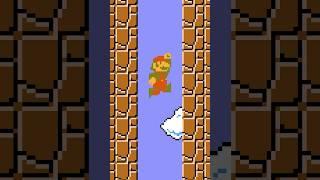 The ENDLESS PIT in Super Mario Bros. (NES)!!