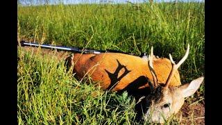 Roe Deer Long Range Hunting 691 yards