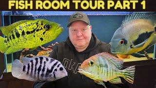 FISH ROOM TOUR Part One | August 2024