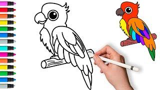 How to draw a parrot  Painting and Coloring for Kids & Toddlers