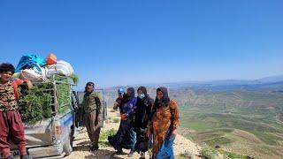 Canopy of capers, crossing a scenic path #nomadic life. #Iran.