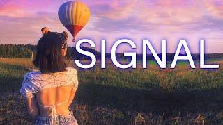 SIGNAL FESTIVAL | ОДИН ИЗ ЛУЧШИХ ФЕСТИВАЛЕЙ В РОССИИ | ЛераСвинера