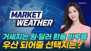 거세지는 원·달러 환율 비구름... 우산 되어줄 선택지는? [마켓웨더] | Market Now 3 (20241227)