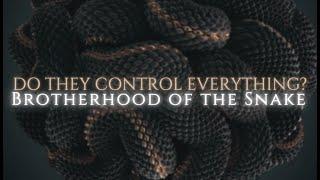 Did An Ancient Serpent Cult Dominate The Earth? The Brotherhood Of The Snake Explored.