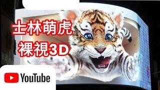 台灣 士林萌虎 裸視3D影像廣告牆 3D tiger Taiwan Shilin Nightmarket