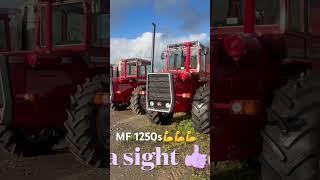 3 classic icons in the sun MF1250s
