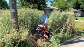 Grass is TALLER THAN ME and nobody has seen it cut in 5 YEARS!