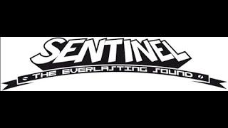 Sentinel Sound System