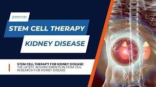 Stem Cell Therapy for Kidney Disease - Discover the Future of Stem Cells For Kidney Disease🩺