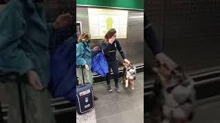 Sofia Goggia arriva a Malpensa