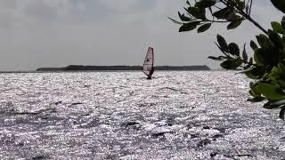 Rick windsurfing in 40 mph gusts