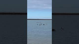 The Breakwall At Veterans Waterfront Park / Port Austin, Michigan