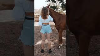 A Girl play with cute horse funny horse