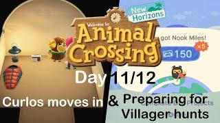 Day 11/12: Preparing for villager hunts while Curlos moves in | Starting Over in ACNH