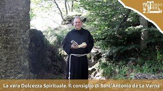 La vera Dolcezza Spirituale. Il consiglio di Sant'Antonio da La Verna