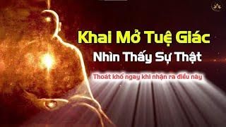 Khai Mở Tuệ Giác – Nhìn Thấy Sự Thật | Thiền Sư Ajahn Chah |