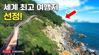 내셔널지오그래픽 Top 25! 외국보다 더 멋진 국내 최고의 4.8km 해안 트레킹 코스 | 대중교통 당일치기 여행