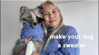 how to: make a sweater for your dog | make a custom sweater for your dog